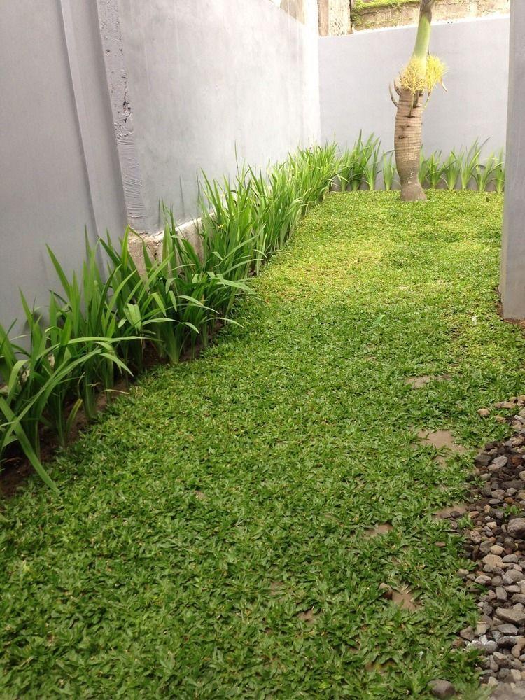 Safa Rumah liburan